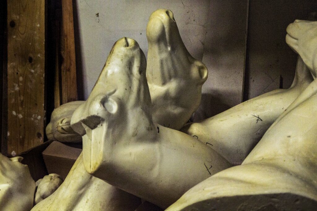 Une fois la peau de l'animal traitée et tannée, celle ci est assemblée sur un mannequin. Aujourd'hui, la plupart sont en mousse synthétique selon un modèle standard a retravailler.